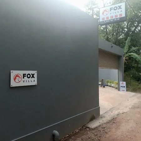 Fox Villa-2