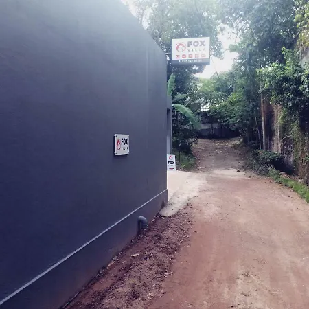Fox Villa-2